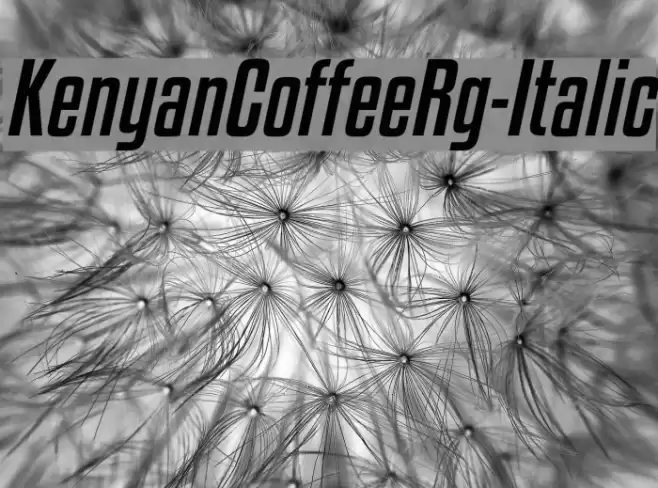 KenyanCoffeeRg-Italic Font examples