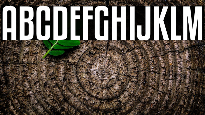 KenyanCoffeeRg-Regular Example 2