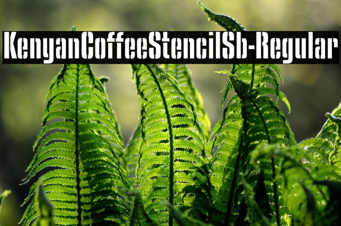 KenyanCoffeeStencilSb-Regular Example 1