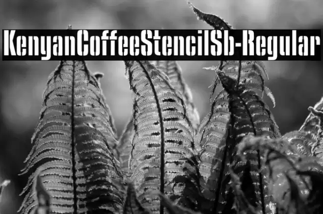KenyanCoffeeStencilSb-Regular Font examples