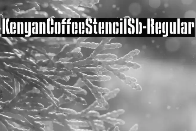 KenyanCoffeeStencilSb-Regular Font examples