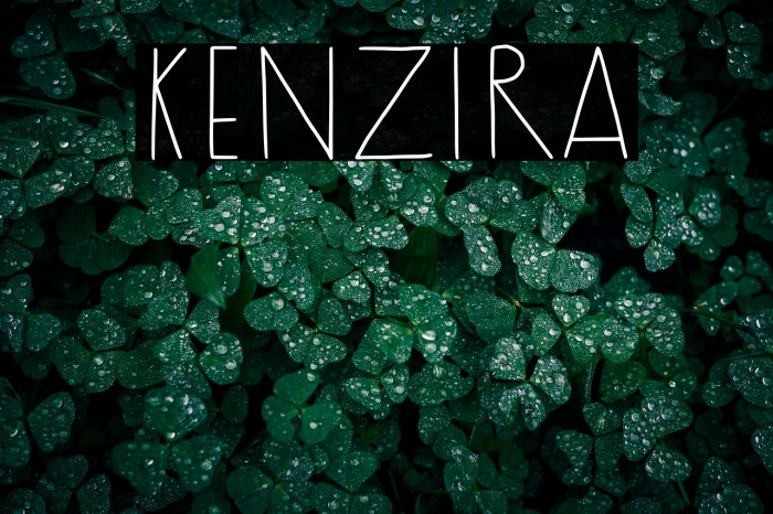 Kenzira Example 1