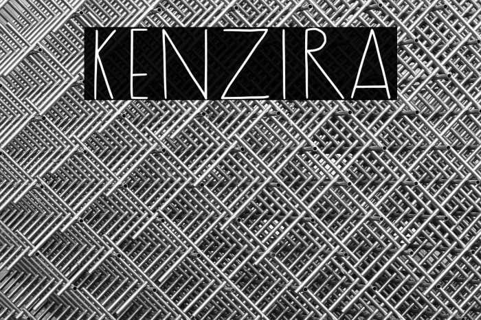 Kenzira Example 2