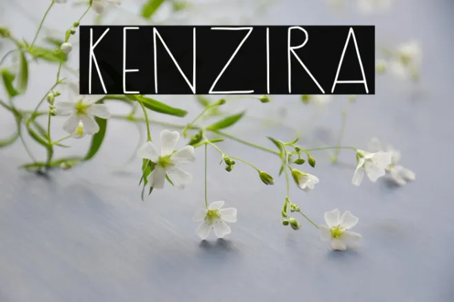 Kenzira Example 3