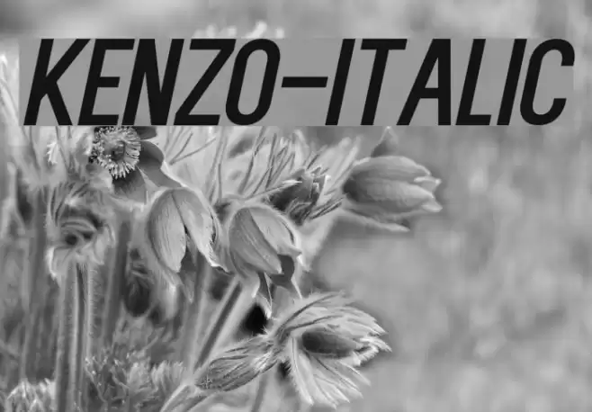 Kenzo-Italic Font examples