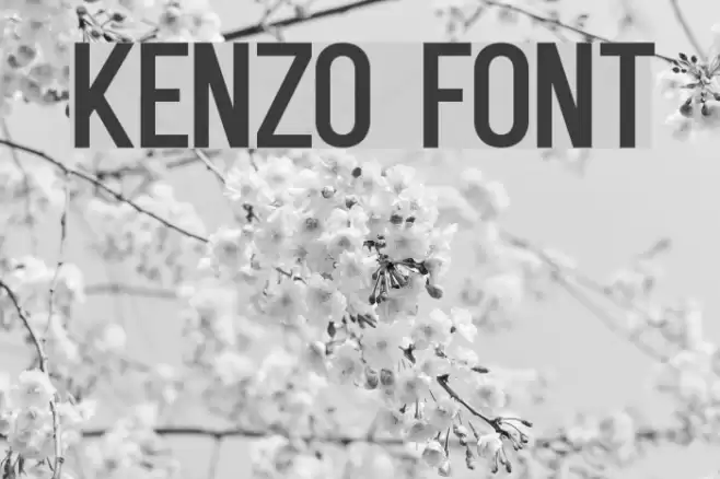 Kenzo Font examples
