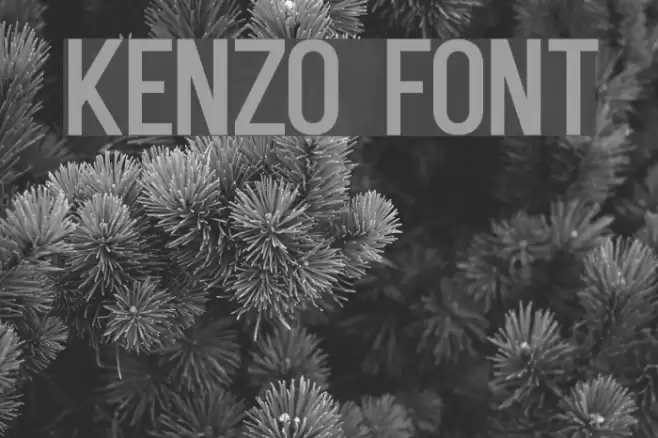 Kenzo Font examples