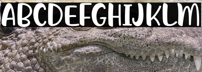 Kepo Coffee Example 3