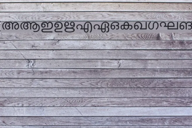 Keralax - Malayalam Example 3