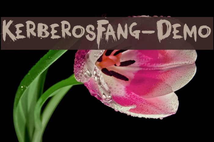 KerberosFang-Demo Шрифта examples