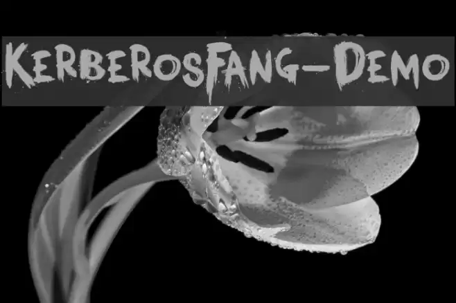 KerberosFang-Demo Font examples
