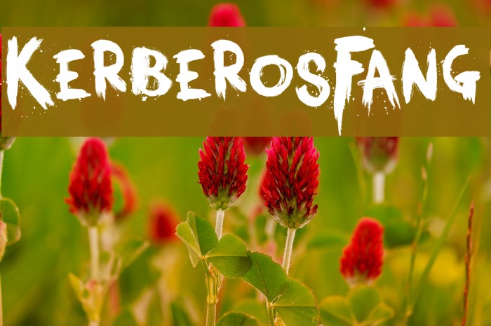 KerberosFang Font examples