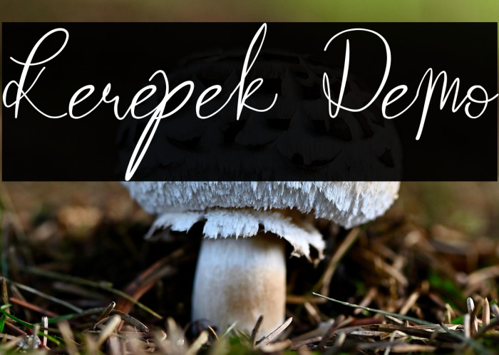 Kerepek Demo Example 1