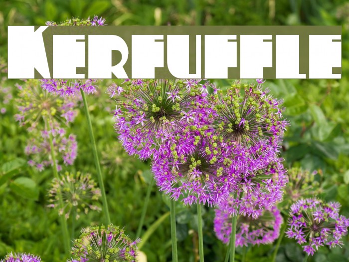 Kerfuffle Font examples