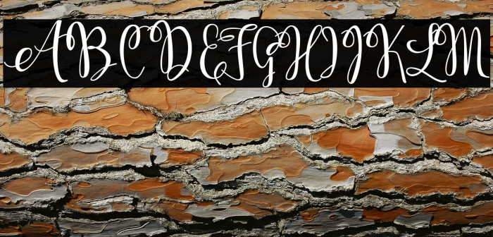 KerlingScript-Bold Example 1