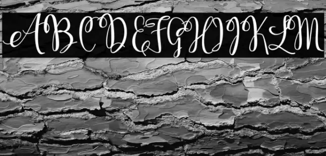 KerlingScript-Bold Font examples