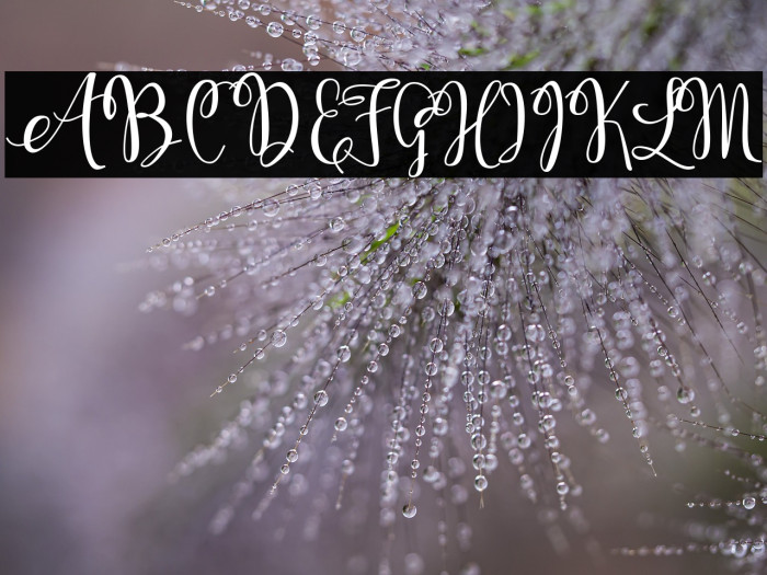 KerlingScript-Bold Example 3