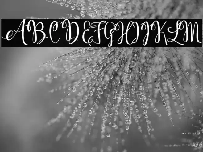 KerlingScript-Bold Font examples