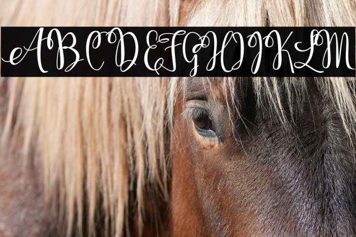 KerlingScript-Bold Example 1