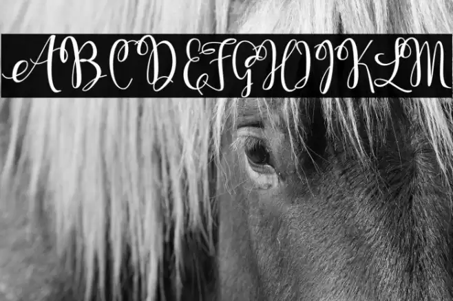 KerlingScript-Bold Font examples