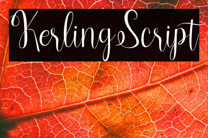 KerlingScript Example 3