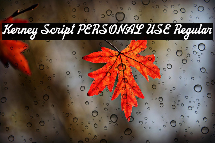Kerney Script PERSONAL USE Regular Example 1