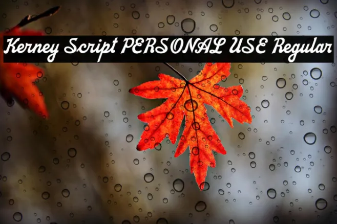 Kerney Script PERSONAL USE Regular Example 1