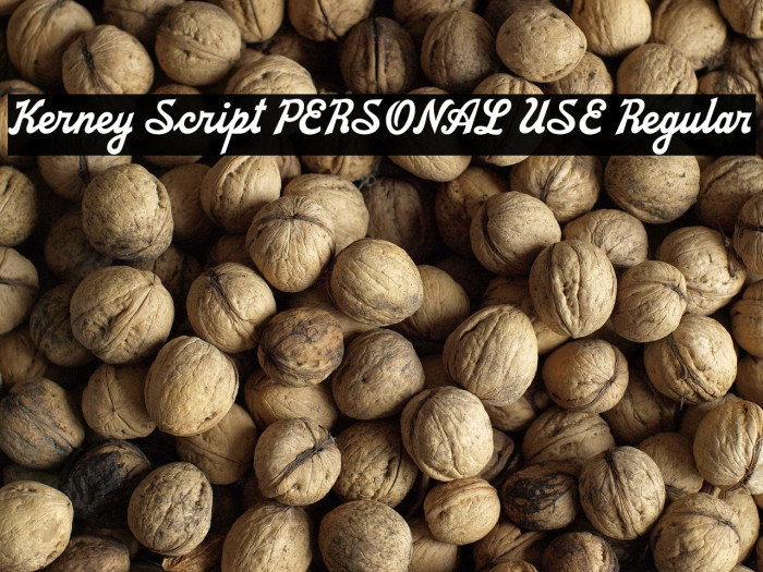 Kerney Script PERSONAL USE Regular Example 2