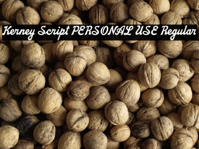 Kerney Script PERSONAL USE Regular Example 2