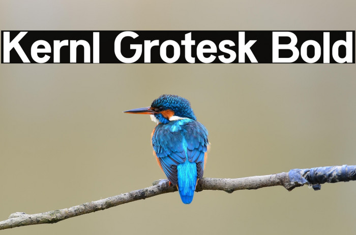 Kernl Grotesk Bold Example 2