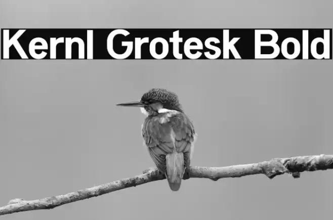 Kernl Grotesk Bold Font examples