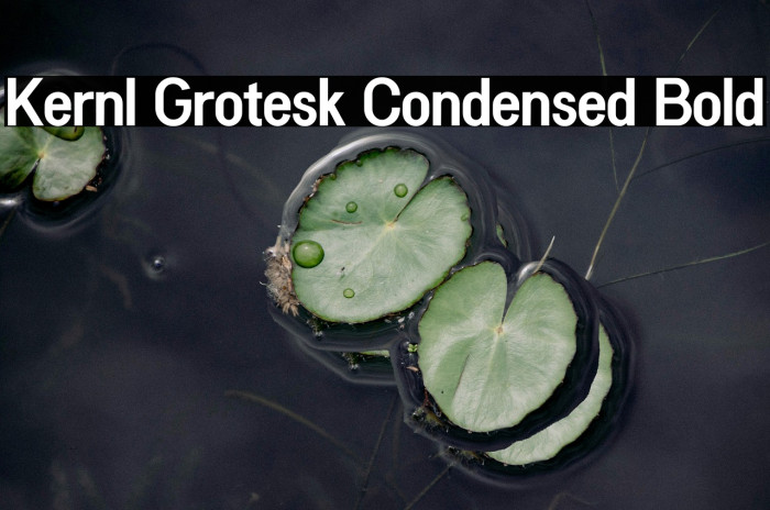 Kernl Grotesk Condensed Bold Example 3