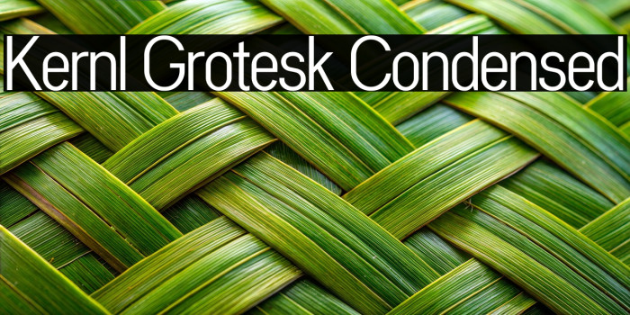 Kernl Grotesk Condensed Example 1