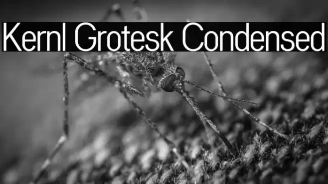 Kernl Grotesk Condensed Font examples