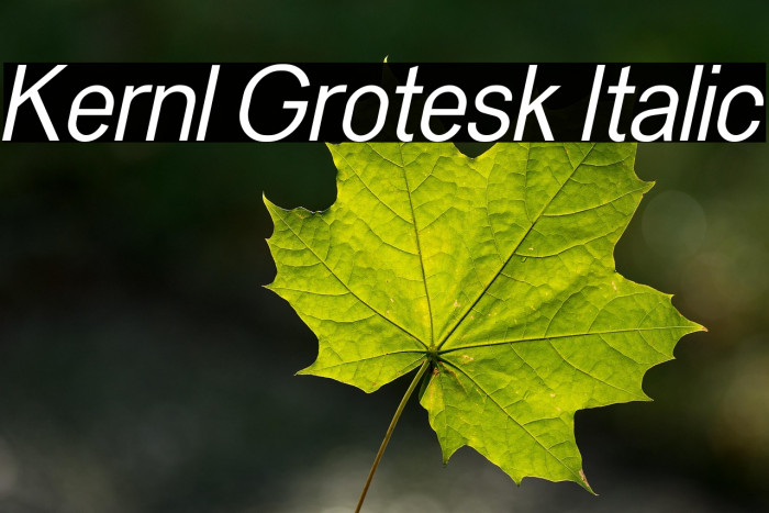 Kernl Grotesk Italic Example 1