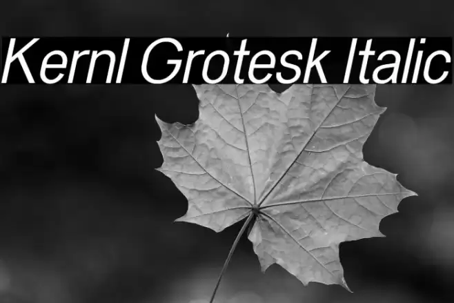 Kernl Grotesk Italic Font examples