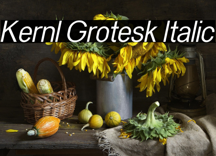 Kernl Grotesk Italic Example 2