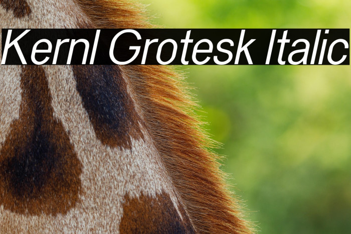 Kernl Grotesk Italic Example 3