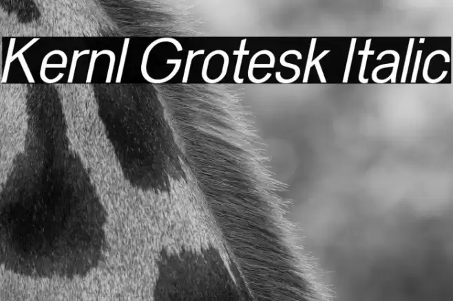 Kernl Grotesk Italic Font examples