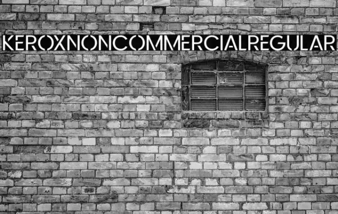 KeroxNonCommercialRegular Polices examples