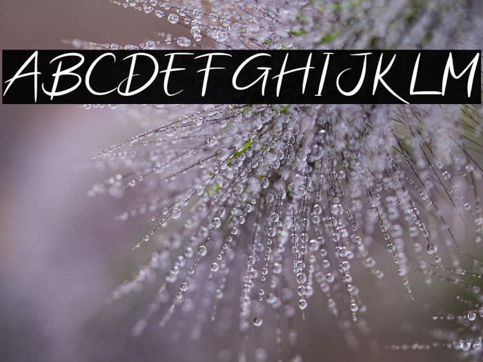 Kerry Halton Example 3