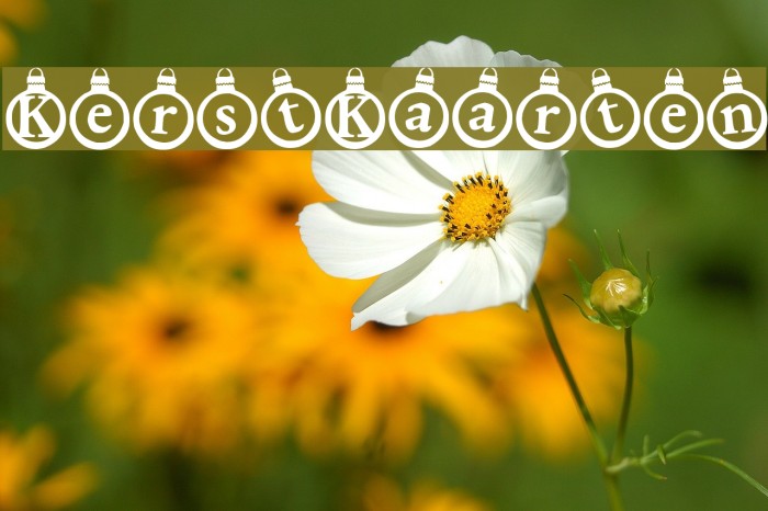 KerstKaarten Font examples