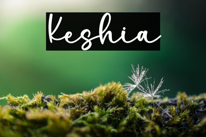 Keshia1 Example 1