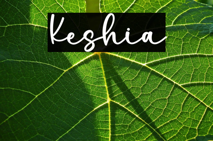 Keshia1 Example 2