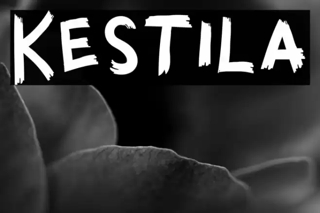 Kestila Font examples