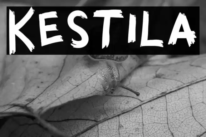 Kestila Font examples