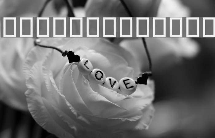 Ketaab Bold Font examples