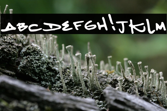 KetamineNightmares Example 1