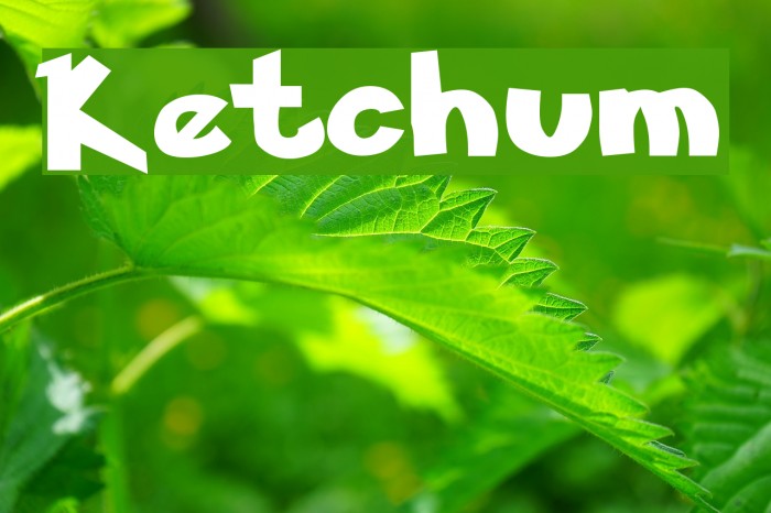Ketchum Font examples