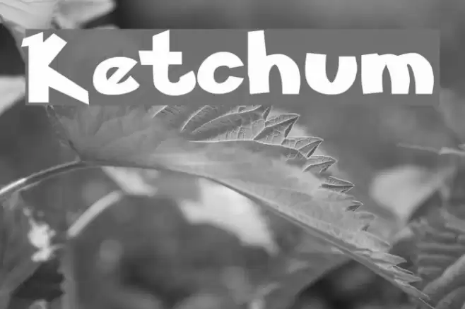 Ketchum Font examples